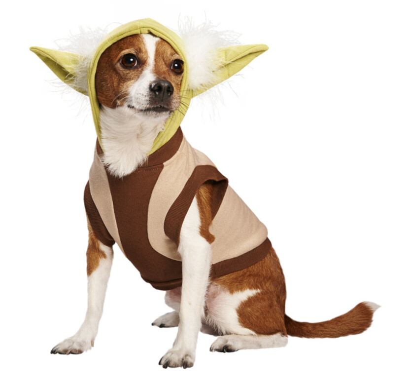 Is your mutt the ruler of the house? Then dress him appropriately as the wise Jedi master in...