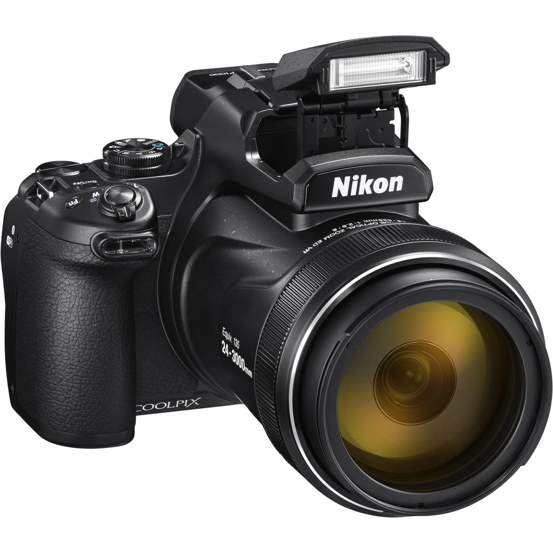 Nikon Coolpix P1000: Can a zoom lens be too big?