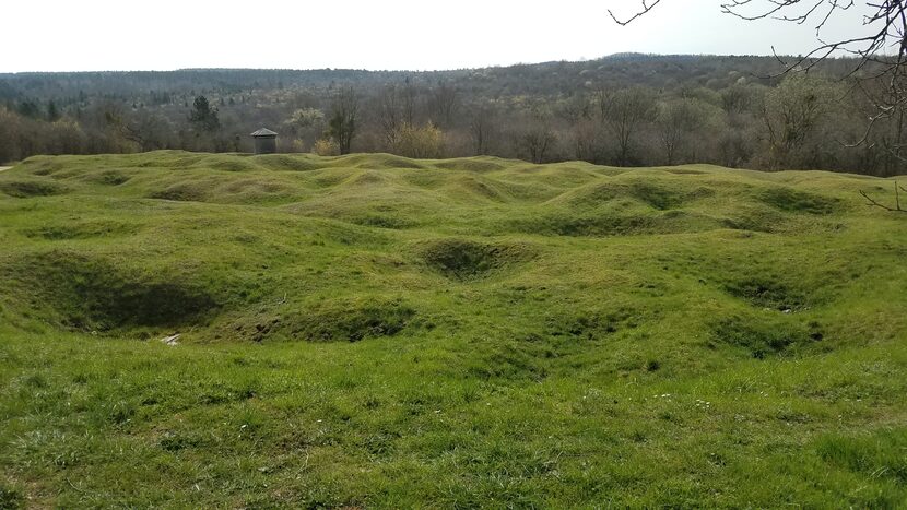 The ground still bears the scars of the tens of millions of artillery shells fired during...