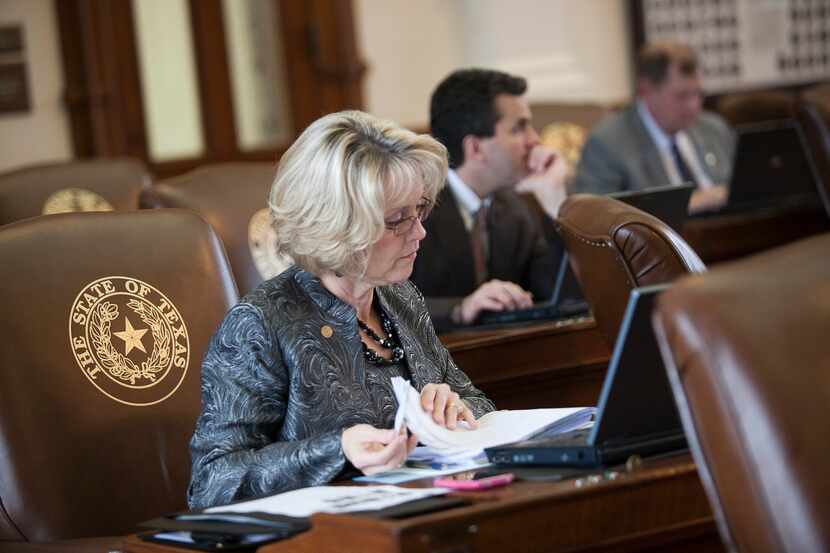 State Rep. Cindy Burkett, (R- Mesquite), looks over her documents during the House chamber...