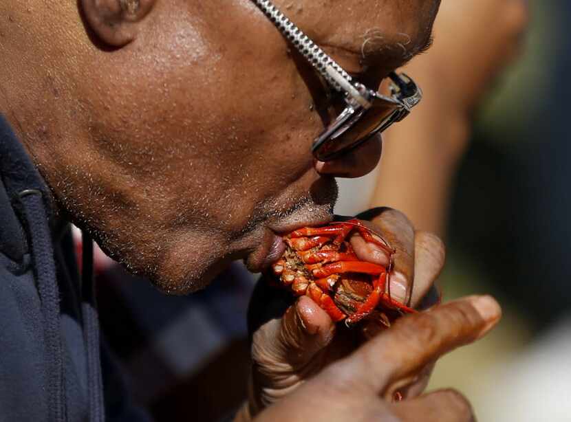 Dannie Rogers eats crawfish at the 4th Annual Mudbug Bash in Main Street Garden in downtown...