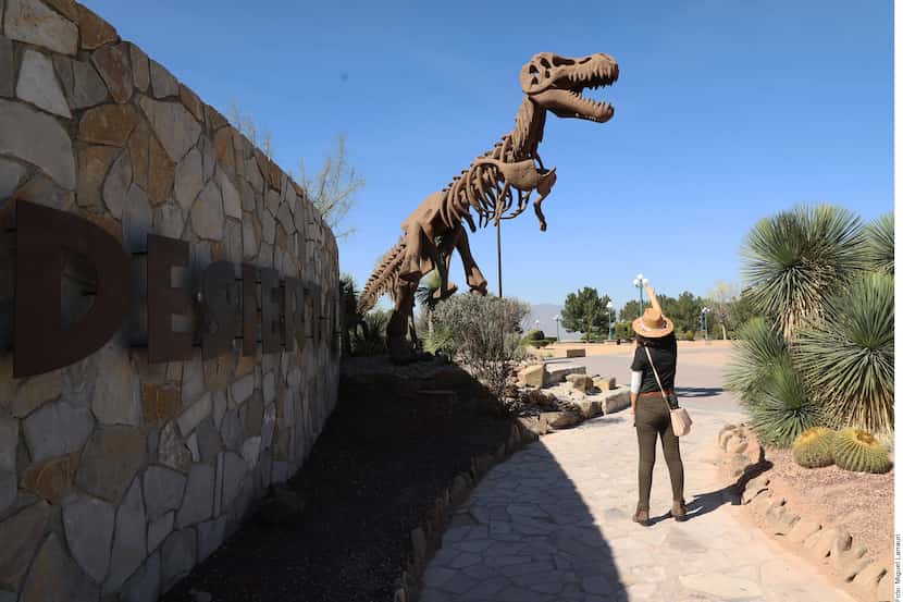 Foto de una mujer tomándole una foto a un fósil de un dinosaurio.