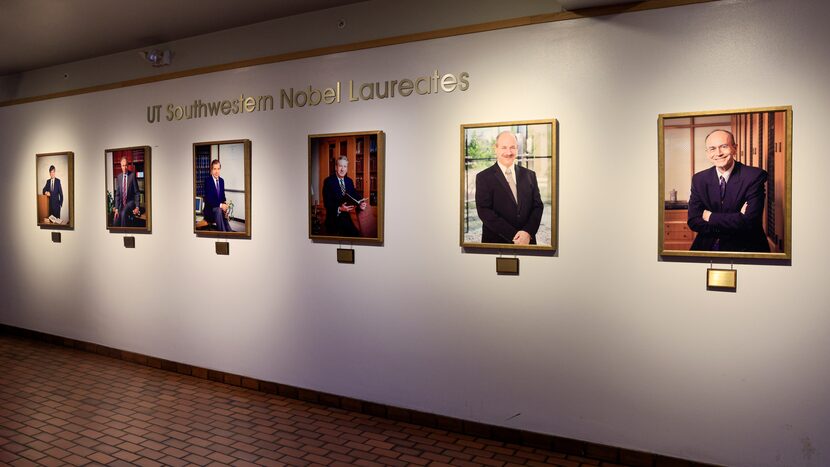 The framed photos of UT Southwestern's six Nobel Laureates provided the inspiration for the...