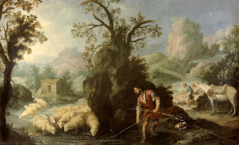 Bartolomé Esteban Murillo's gorgeously restored "Jacob Laying Peeled Rods Before the Flocks...