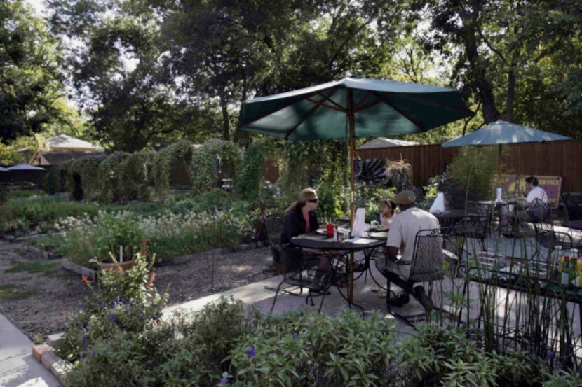 An adjacent garden gives the Garden Cafe its name and some of its produce, not to mention...