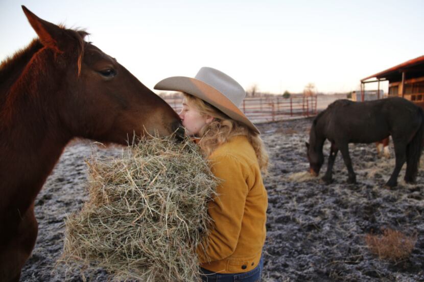 Kristyn Harris feeds her horses early in the morning at her home in McKinney, TX. Kristyn...
