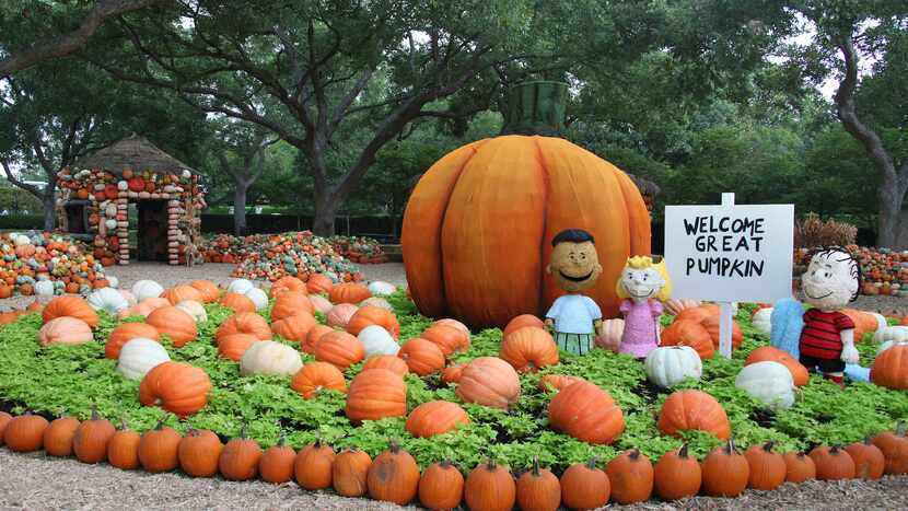The Pumpkin Village is a highlight of Autumn at the Arboretum. It features four 20-foot-tall...