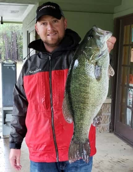 Cody Morrison of Pilot Point displays the new state record "meanmouth" bass he caught in...