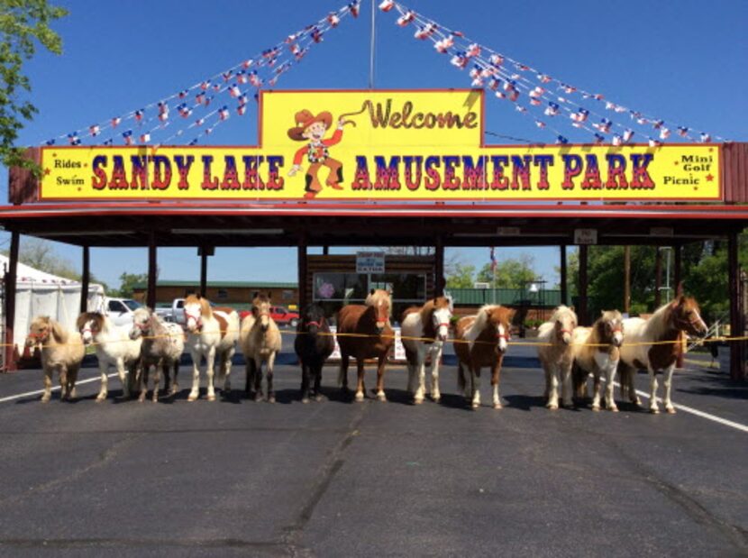 Los ponys eran uno de los atractivos del Sandy Lake Amusement Park.