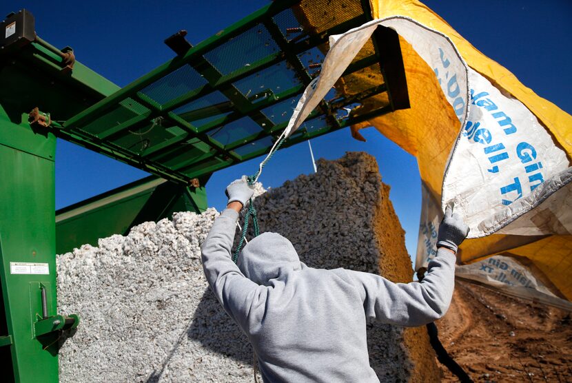 Charles Johnson pulls a tarp over a bale of cotton during the harvest at Matt Farmer's farm...