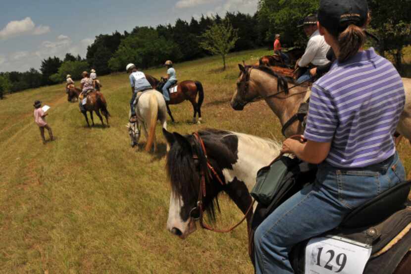 Equestrians could have a new place to ride if plans for the Texas Horse Park in the Trinity...