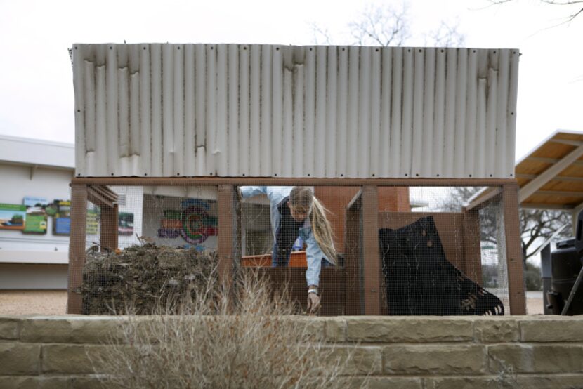 Volunteer Emma Livingston turns a compost pile at Plano Environmental Education Center in...