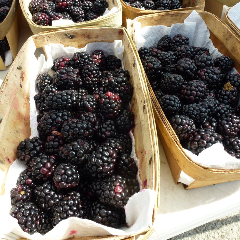 D-Bar Farms from Ponder sells a variety of berries, including these blackberries, at the...