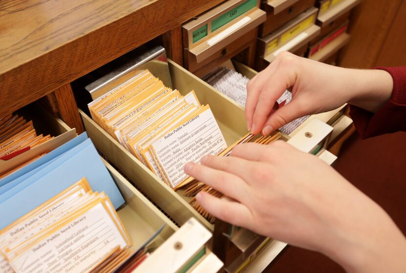 Catherine Gilman thumbs through the new seed library program at the Dalllas Public Library...