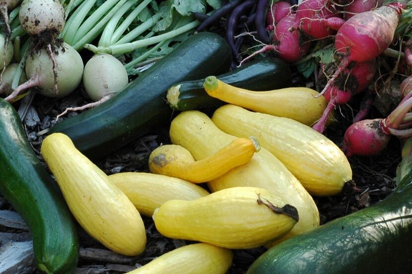 By growing healthy vegetables in your garden, you can cut down on trips to the grocery store.