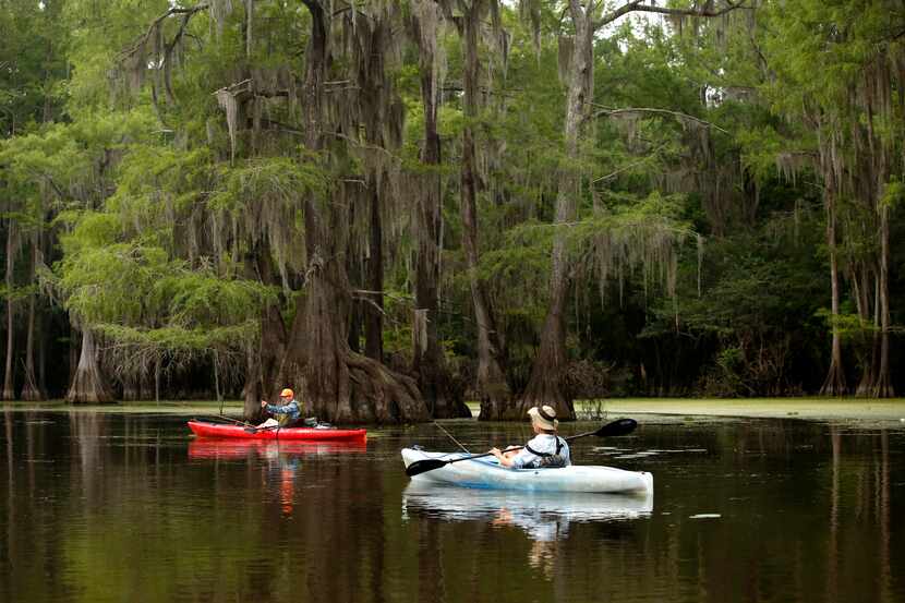 Boaters enjoyed some early-morning fishing at Caddo Lake in June 2018. With its 25,400-acre...