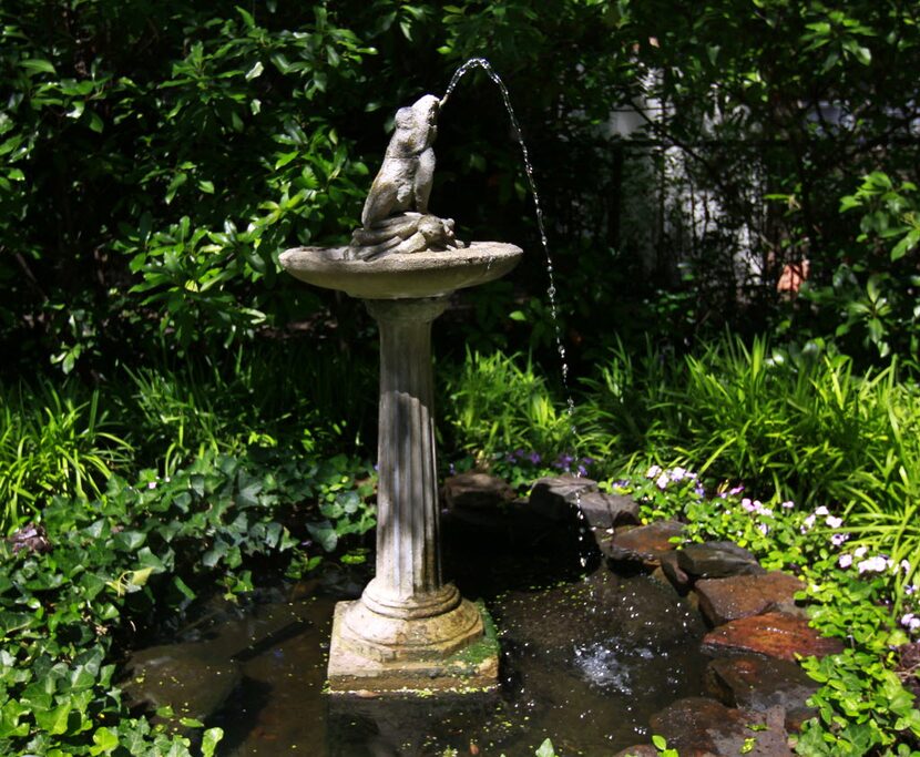 A frog birdbath near White Rock Lake.  (Mona Reeder/The Dallas Morning News) 05192011xARTSLIFE