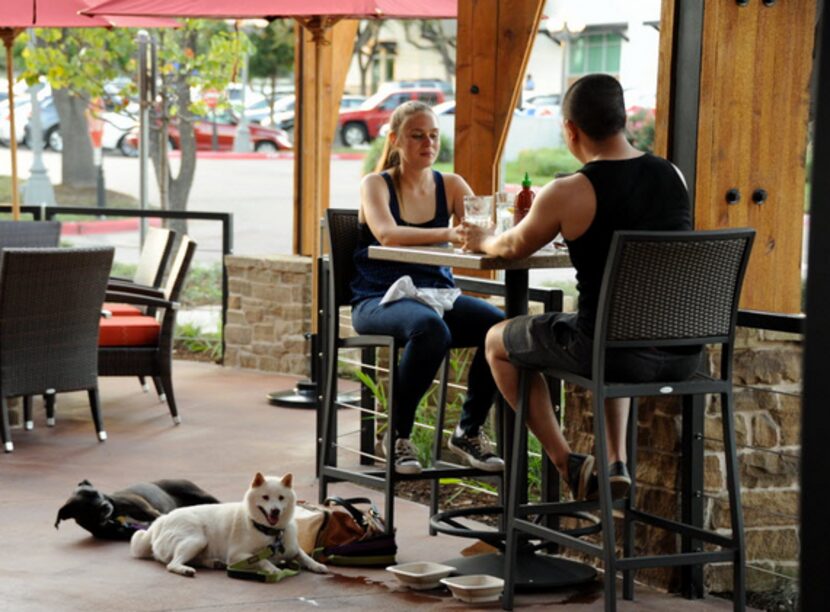 At Lazy Dog in Addison, your dogs are welcome.