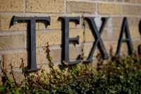 Hiedra crece cerca de un letrero en la entrada de la Universidad de Texas, el 29 de...