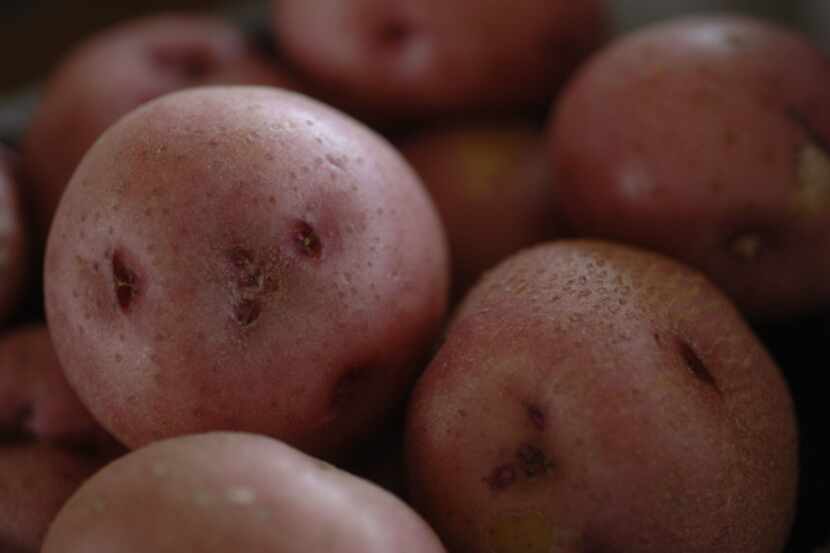 New potatoes grown by local farmer, J.T. Lemley, on his property near Canton, Texas at the...