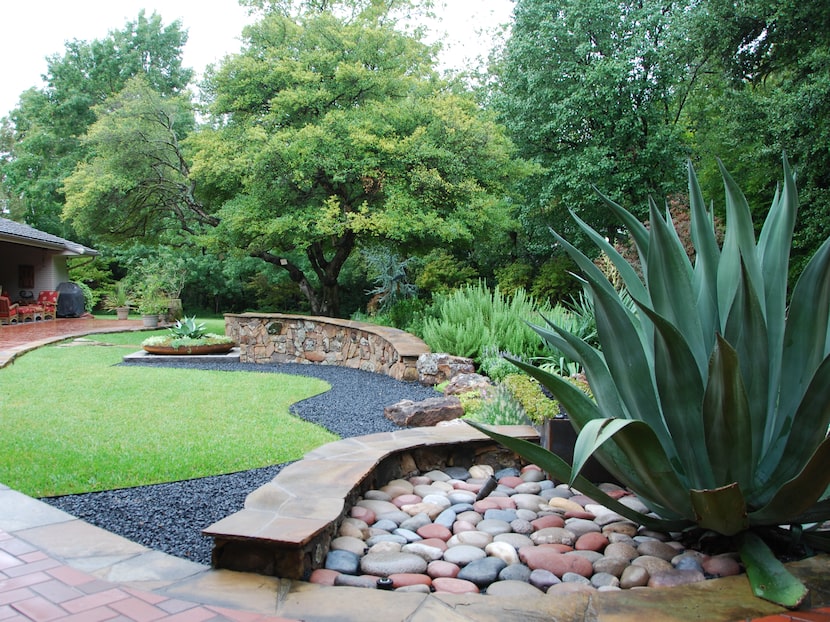 modern desert garden in a backyard