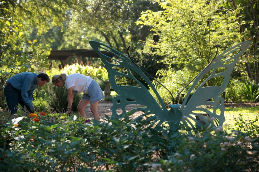 
The Japanese Garden at the Fort Worth Botanic Garden will be the site for a Spring Festival...