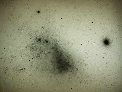 Stars appear as black dots in this negative plate of the Small Magellanic Cloud, a satellite...