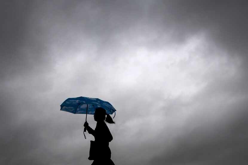 Showers bring out umbrellas on the University of Texas at Dallas campus as a storm system...
