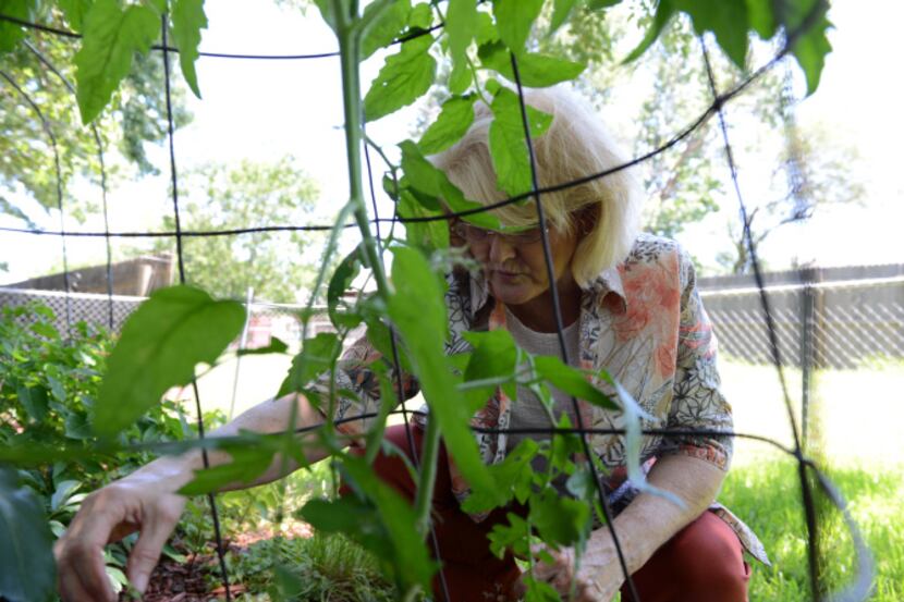 Beverly Michelsen pulls weeds from her tomato plant in her backyard in Serendipity Village....