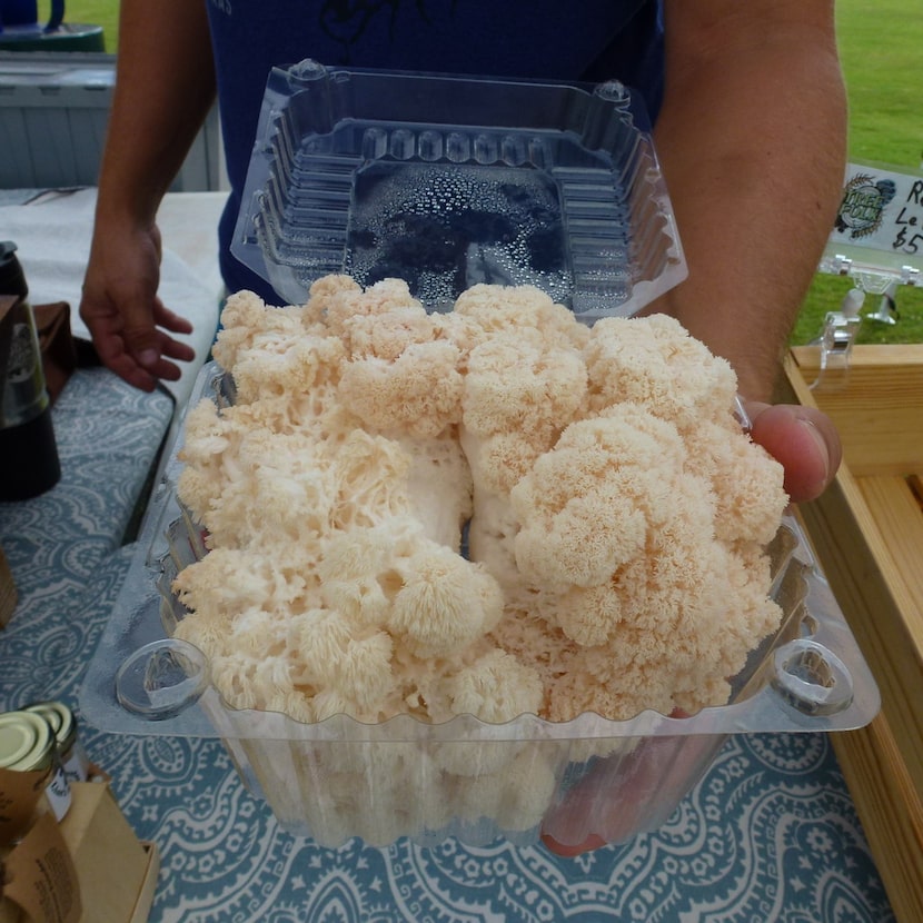 Tree Folk Farm in Denton grows lion's mane mushrooms, which can be cut up and tossed in a...