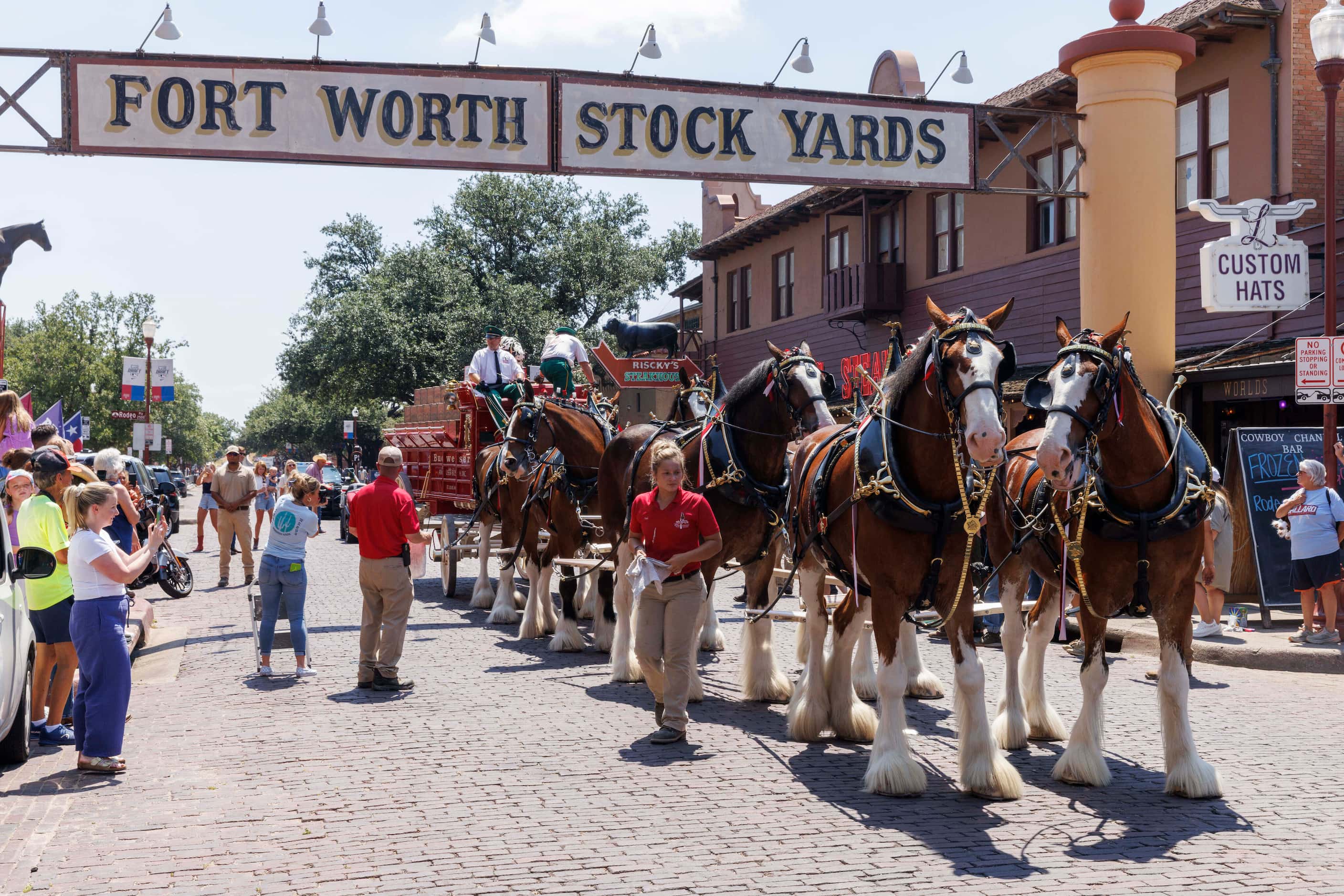 People gather along East Exchange in The Stockyards to see the Budweiser Clydesdales,...