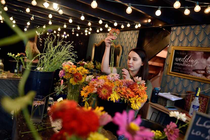 Carina Vargas, 29, a flower designer and event planner, tends to zinnias flowers while...
