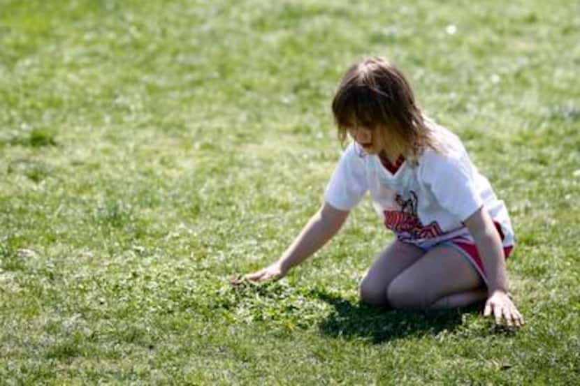 
Mary Claire Leavy, 6, plays in the grass in between soccer games at Harry Moss Park in...