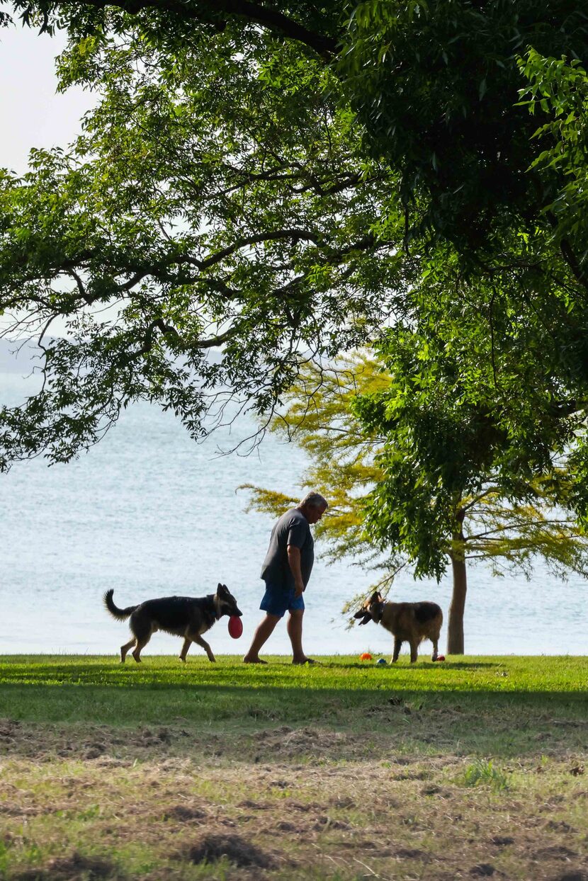 A man plays with a couple of dogs at Lake Lavon in Avalon on Saturday, July 17, 2021.