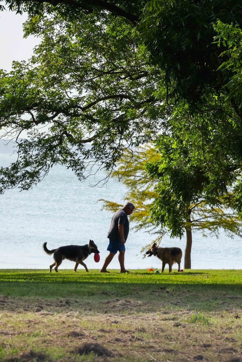 A man plays with a couple of dogs at Lake Lavon in Avalon on Saturday, July 17, 2021.