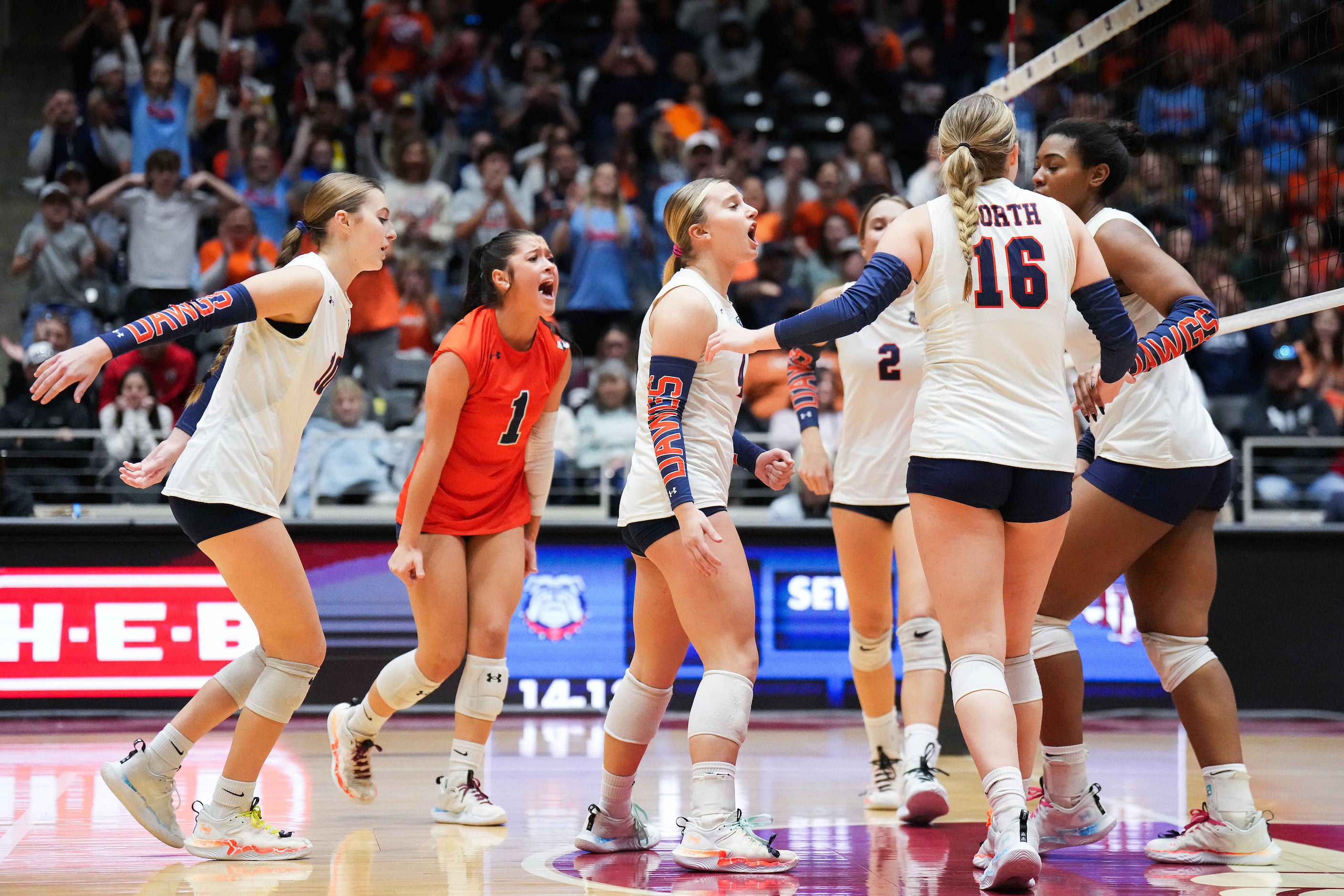 McKinney North players celebrate a point during the UIL Class 5A Division I volleyball state...