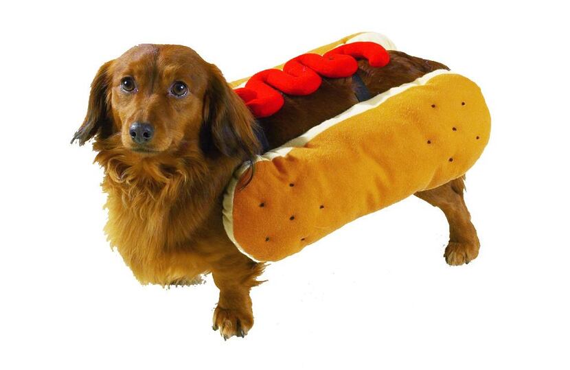 Hot diggity dog: Put your pup between two plump poppy-seed buns from PetEdge. The costume...
