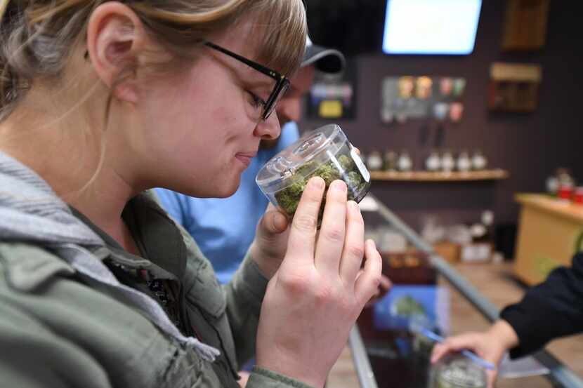 Laura Torgerson, visiting from Arizona, smells cannabis buds at the Green Pearl Organics...