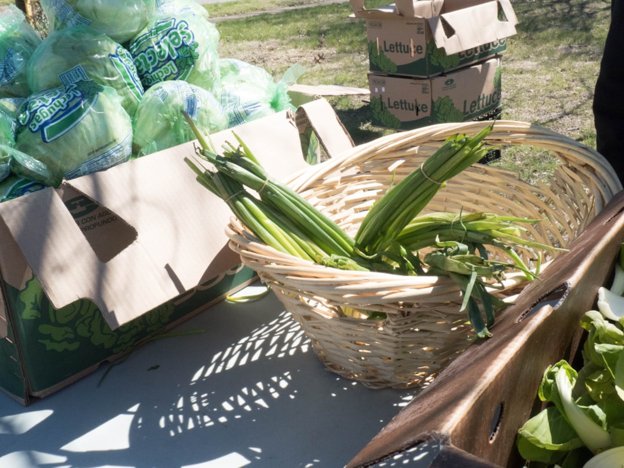 Frech vegetables available for free, provided by The Oak Cliff Veggie Project in Dallas,...