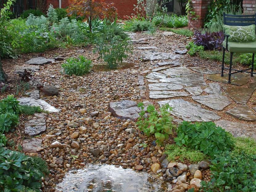 Rocks and native plants in a yard