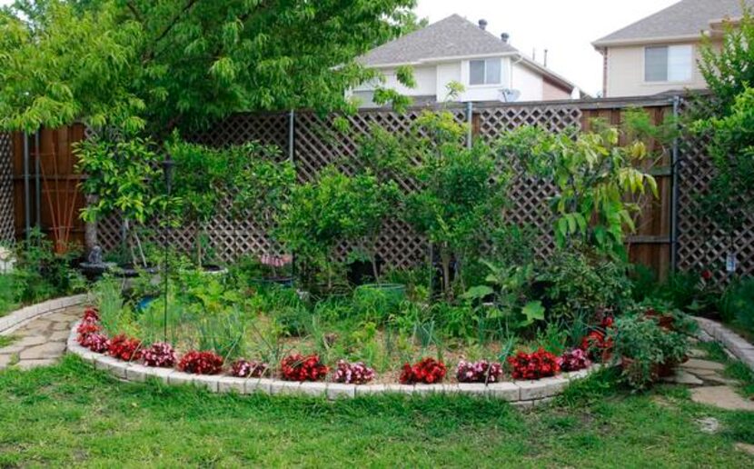 
This is part of Brian von Merveldt and his wife Nokâs vegetable and fruit garden. They grow...