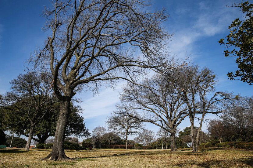 Samuell Grand Park in East Dallas has many lovely pockets but the lack of...