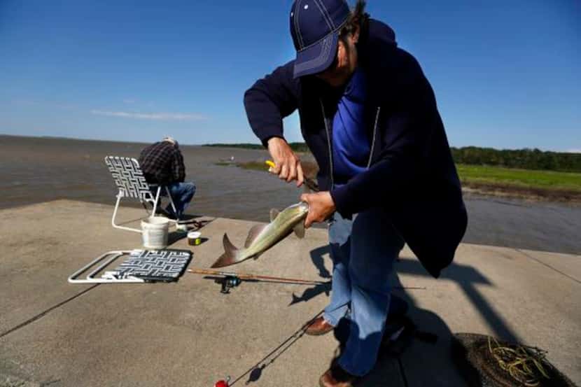 
Rhonda West of Wolfe City pulled a hook from a catfish she caught off a pier in Jim Chapman...
