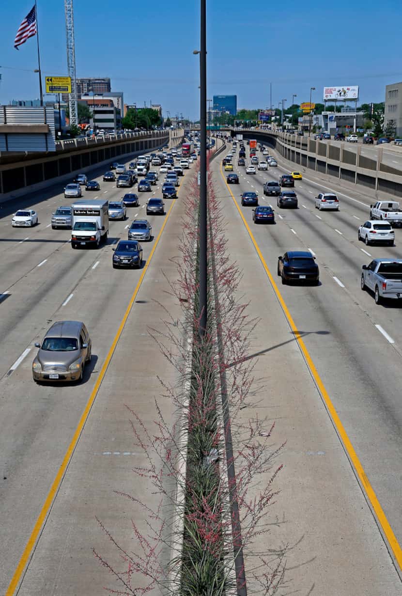 Traffic moves by yucca plants that were planted in the medians along Central Expressway in...