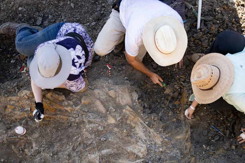 (From left) Mariah Slovacek, the Paleo Lab collections manager at the Perot Museum of Nature...