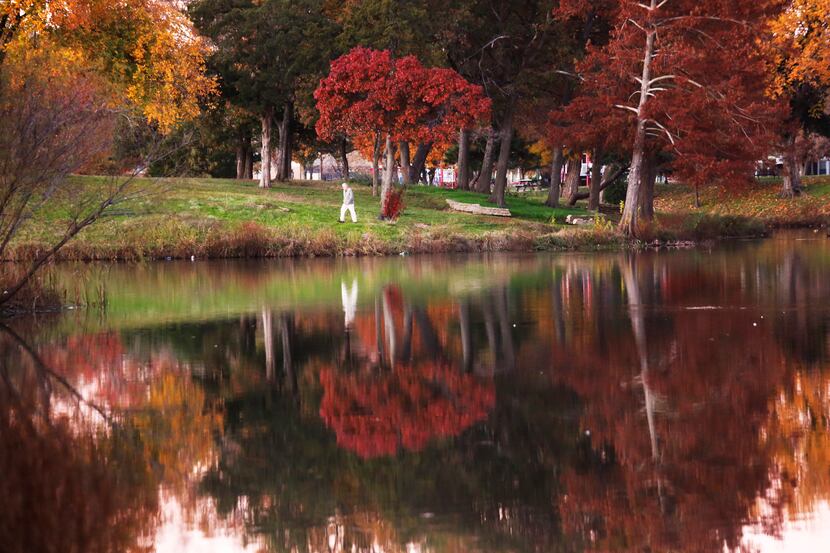 Fail foliage highlighted a pedestrian's walk through Lake Cliff Park in Oak Cliff in early...