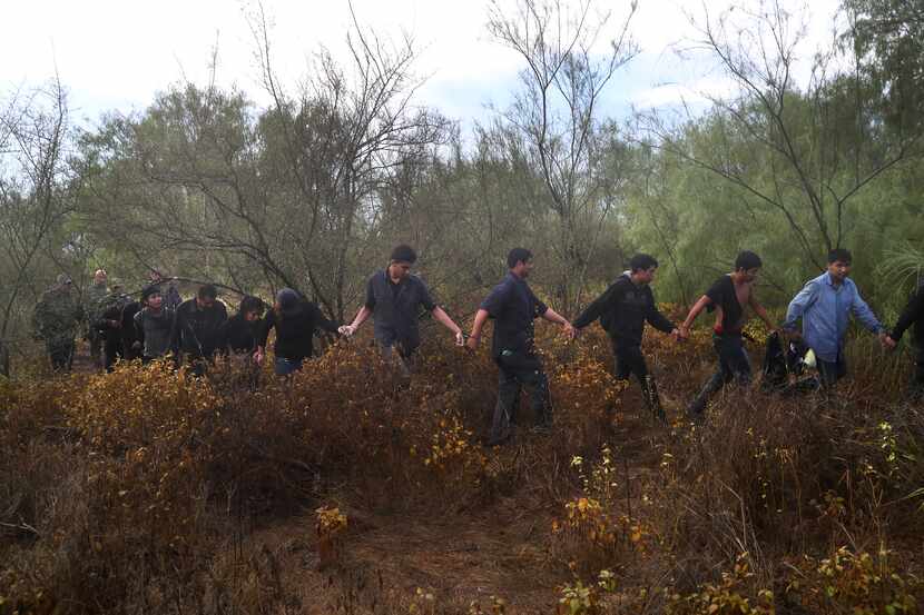 Detained  immigrants were led through the brush after being captured by U.S. Border Patrol...