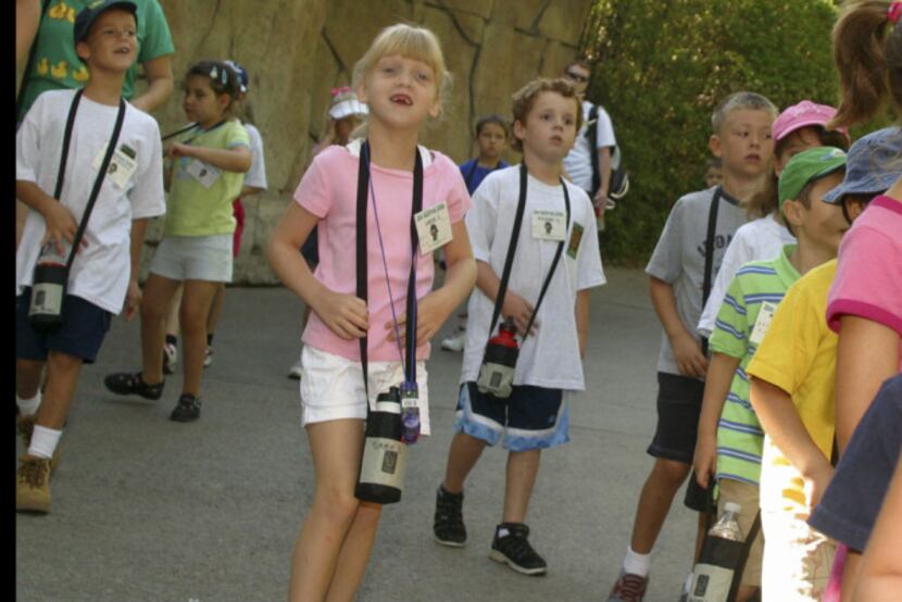 At the Dallas Zoo, campers will learn about science and explore the outdoors.