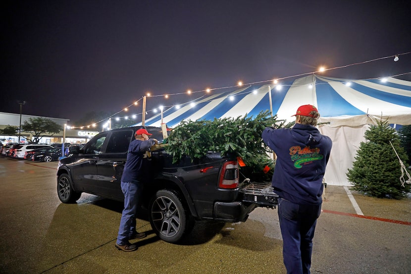 Randy Brewer (left) and Kellen McAlone loaded a tree onto a truck at Patton's Christmas...