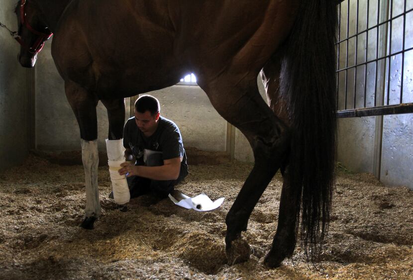 Groom Carlos Cervantes wraps the legs of Flame Broiled W in the barns at Lone Star Park at...
